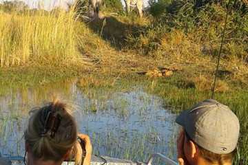 5 day big five safari in okavango delta, botswana Maun