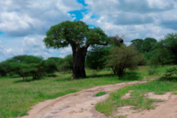  two 2 days mid-range tarangire, ngorongoro crater Moshi