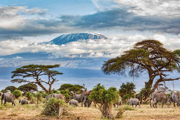 Mount Kilimanjaro (highest In Africa) Machame Route Arusha