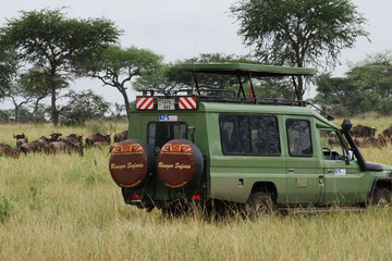 8 days lake turkana camping safari package Nairobi