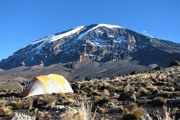 7 Days Kilimanjaro Hiking Via Lemosho Route With Burigi Chato Safari Co L.t.d Moshi