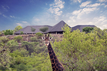 Réserve naturelle de Mokodi Gaborone