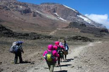 8 days lemosho route kilimanjaro trekking Moshi