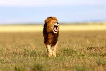 2 days amboseli safari Nairobi