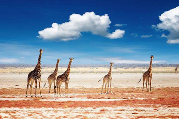 6 Days Namibia Express Safari Windhoek