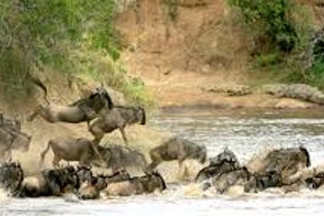 3days maasai mara budget safari Nairobi