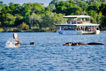 Zambezi river cruises Livingstone