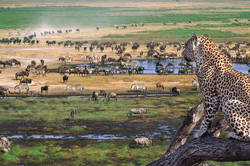 4 day camping safari serengeti and ngorongoro Arusha