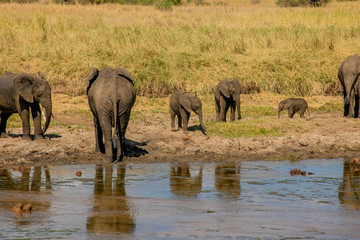Safari Tanzanie 2 Jours Arusha