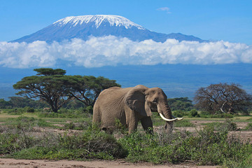 3 days amboseli national park Nairobi
