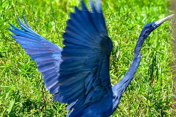 Antananarivo and surrounding Antananarivo