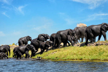 9 days kenya family safari holidays Nairobi
