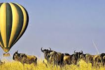6 days serengeti wildebeest migration holiday safari tours Nairobi