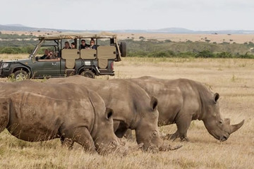 3 DAYS OLPEJETA CONSERVANCY Nairobi