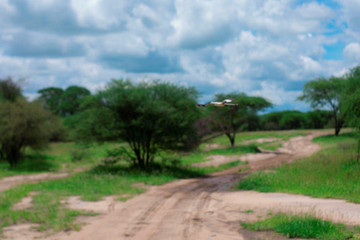 3 days tanzania mid-range safari to serengeti and ngorongoro Moshi