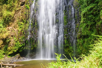 1-day Materuni Waterfall And Hot Springs Group Tour Arusha