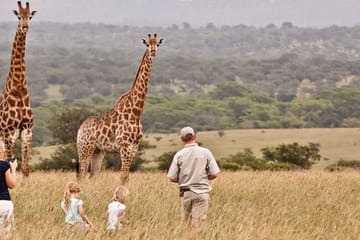 1-day Tarangire Trip Arusha