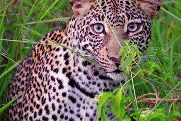 10 DAYS SECLUDES SAFARI Dar es Salaam
