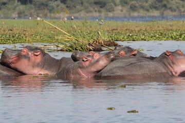 2-day Ngorongoro- Materuni & Kikuletwa Hotspring Safari Arusha