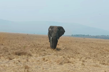 2 days akagera national park visit Kigali