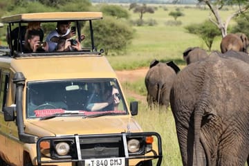 2 Days Budget Camping Safari Tarangire And Ngorongoro Moshi