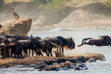 3-day Serengeti & Ngorongoro Tour Arusha