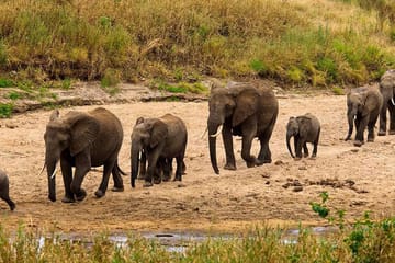 3-day Tarangire, Ngorongoro & Manyara Best Tour & Safari Arusha