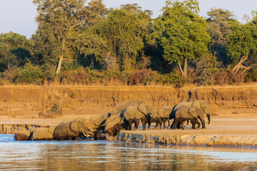 4 day south luangwa national park budget safari Lusaka