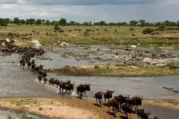 4 days 3 nights serengeti,ngorongoro & tarangire tanzania Arusha