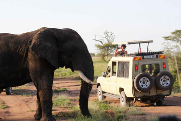 4 Days Tanzania Adventure Safari Arusha