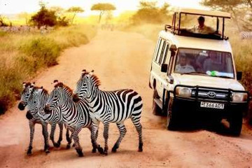 5 days / 4 nights safari - mid range Arusha