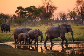 5 Days Tanzania Safari Moshi