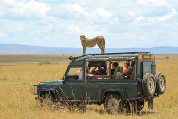 6-day serengeti wildebeest migration expedition Arusha