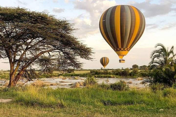 6-day Wildlife Safari Across Kenya’s Top National Parks Nairobi