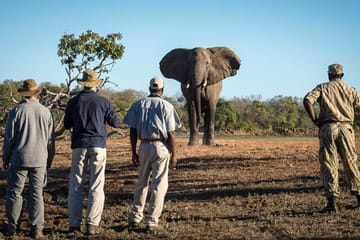 7-day Big Five Safari & Hidden Waterfall Serenity Arusha