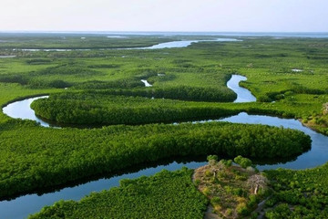 Visiter le delta du saloum Dakar