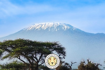 Amboseli Home Of The Giants Safari Nairobi