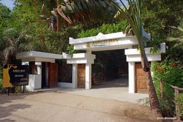 Amigo Bay Cap Skirring