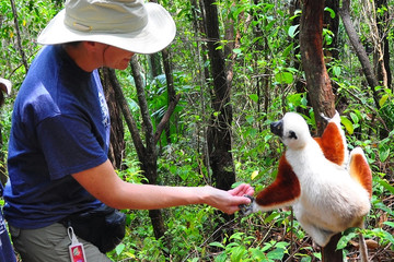 Andasibe national park Antananarivo