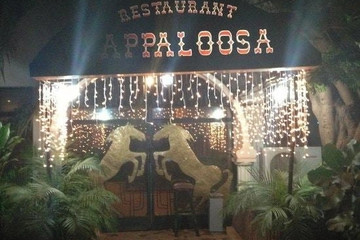 Appaloosa Bamako