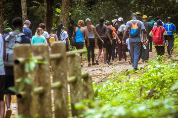 Balade dans la forêt du parc national banco Abidjan