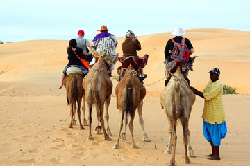 Balades à Dos de Chameau Dakar