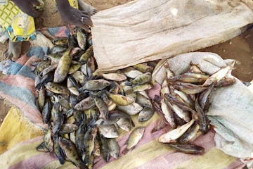 Bar Dancing Le Pylône Bobo-Dioulasso