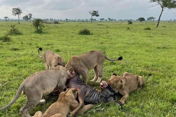 Baraza Dar es Salaam
