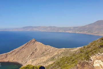 Canastel Forest Oran