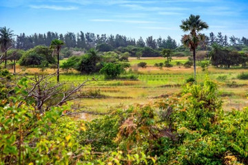 Casamance Ecoparc Casamance