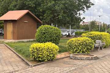 Chant d'Oiseau Cotonou