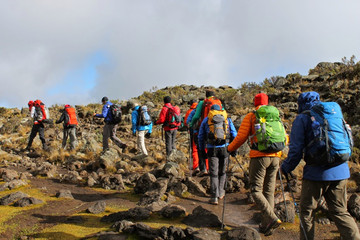 Day 7 Shira Route Trekking Arusha