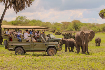 Day Trip - Selous Day Safari Tour Dar es Salaam