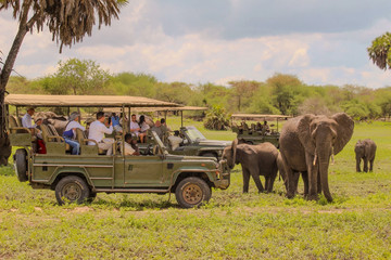 Day trip - selous day safari tour Dar es Salaam